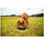 Ciotola per cani Mountain Paws Basecamp Dog Bowl