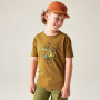 Maglietta da bambino Dare 2b Trailbazer III Tee Dark Cumin