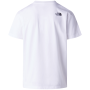 Maglietta da uomo The North Face M Evolution Box Half Dome Regular Short Sleeve Tee