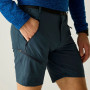 Pantaloncini da uomo Regatta Xert Stretch Shorts