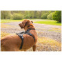 Pettorina per cane Mountain Paws 3-Strap Dog Harness