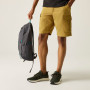 Pantaloncini da uomo Regatta Ruwan Shorts