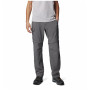 Pantaloni da uomo Columbia Silver Ridge™ Utility Convertible Pant