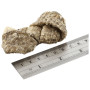 Snack per cani Fish4Dogs Dental Sea Jerky Fish Knots 100g