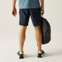 Pantaloncini da uomo Regatta Arlery Shorts