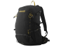 Zaini