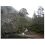 Tenda da trekking Vango Nevis 100