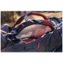 Zaino Gregory Facet 45