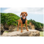 Pettorina per cane Mountain Paws Dog Harness