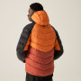Giacca da uomo Regatta Hooded Dalent