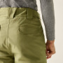 Pantaloni da uomo Dare 2b Baseplate Insulated Pant