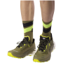 Scarpe da corsa da uomo Dynafit Ultra 100 V3 Gtx