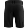 Pantaloncini da uomo Salewa Agner Dst M Shorts.