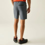 Pantaloncini da uomo Regatta Xert Stretch Shorts