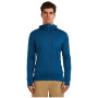 Felpa funzionale da uomo Icebreaker M Mer 260 Quantum IV LS Zip Hoodie