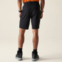 Pantaloncini da uomo Dare 2b Torrek Lite Short