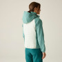 Giacca da donna Regatta Womens Pro Hybrid II