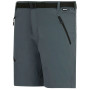 Pantaloncini da uomo Regatta Xert Stretch Shorts