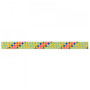Corda da arrampicata Beal Booster III 9,7 mm (60 m)