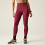 Leggings da donna Dare 2b Power Legging