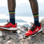Calzini da uomo Darn Tough Stride Micro Crew Ultra-Lightweight