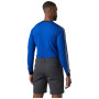 Maglietta funzionale da uomo Helly Hansen HH Lifa Stripe Crew