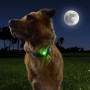 Luce per cani Nite Ize NiteDog™ Rechargeable Pet Light