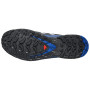Scarpe da corsa da uomo Salomon Xa Pro 3D V9 GTX Icon