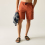 Costume da bagno da uomo Regatta Blanmont Swim Short