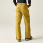Pantaloni da uomo Dare 2b Baseplate Insulated Pant