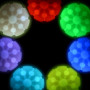 Giocattolo per cane Nite Ize Glowstreak Rechargeable Led Ball