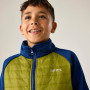Giacca da bambino Regatta Boys Trekktain 3-in-1 II AvBlu/GldCyp