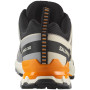 Scarpe da uomo Salomon Xa Pro 3D V9