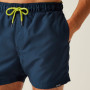 Costume da bagno da uomo Regatta Mawson Swim Shorts III