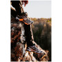 Scarpe da trekking da uomo Salomon X Ultra 5 Gore-Tex