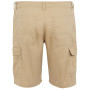 Pantaloncini da uomo Regatta Ruwan Shorts
