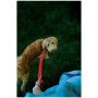 Guinzaglio per cane Nite Ize LED NiteDog