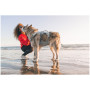 Pettorina per cane Ruffwear Swamp Cooler Harness