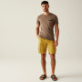 Pantaloncini da uomo Regatta Shorebay Shorts II