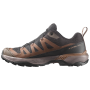 Scarpe da uomo Salomon X Ultra 360 Gore-Tex