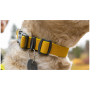 Collare per cane Ruffwear Hi & Light™ Collar