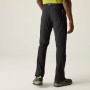 Pantaloni da uomo Regatta Mountain Z/O Trousers