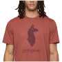 Maglietta da uomo Cotopaxi M'S Cotopaxi Llama T-Shirt