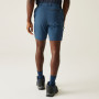 Pantaloncini da uomo Regatta Travel Light Packaway Shorts