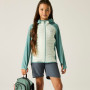 Giacca da bambino Regatta Junior Andreson Hybrid IvyMossOMist
