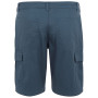 Pantaloncini da uomo Regatta Ruwan Shorts