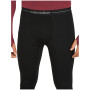 Pantaloni termici da uomo Icebreaker Men 300 MerinoFine™ Polar Leggings