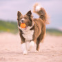 Giocattolo per cane Explorer Dog AirBall Tips 8 cm