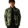 Felpa funzionale da uomo Regatta Frankie Full Zip Fleece