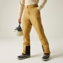 Pantaloni da uomo Dare 2b Achieve III Pant regular